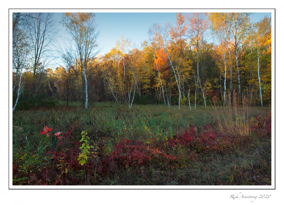 fall-color-2-copy.jpg