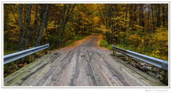 Fall-color-3-copy.jpg