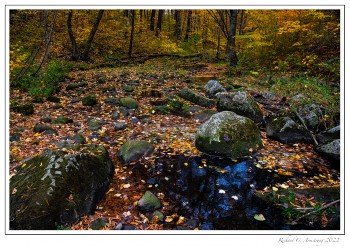 Fall-color-on-stream-1-copy.jpg