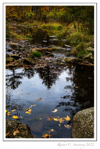 Fall-color-on-stream-2-copy.jpg