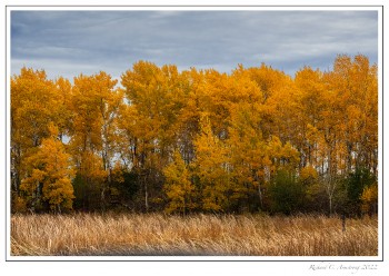 Horicon-fall-color-1.jpg