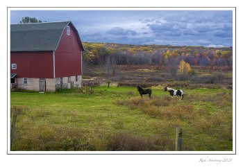 Horses-n-fall-color-copy-2.jpg