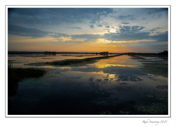 Sandhill-Sunrise.jpg