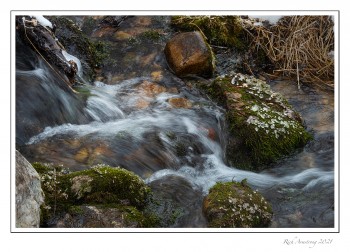 Stream-1-copy.jpg