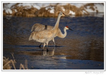 Xandhill-Crnes-wding-copy-2.jpg