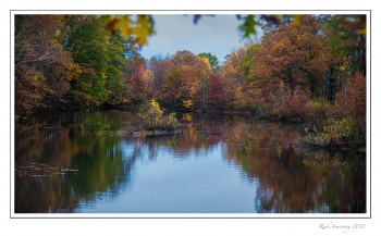 colorful-reflection-1-copy.jpg