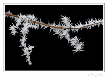 frost-3e-copy.jpg