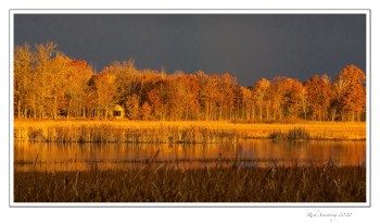 granger-cabin-a-copy.jpg