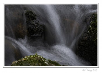 spring-4d1-copy.jpg