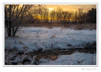 spring-5b-copy.jpg