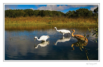crane-family-frm.jpg