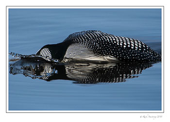 zen-loon-1-copy.jpg