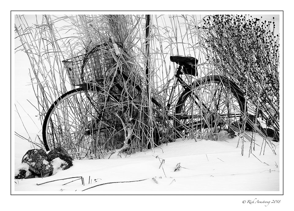 Bike-in-Snow-copy.jpg