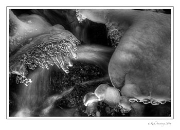 Stream-HDR1-frm-bnw-copy.jpg