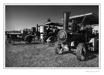 row-of-tractors-1-frm-bnw-copy.jpg