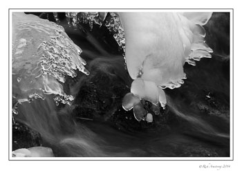 stream-1-frm-bnw-copy.jpg