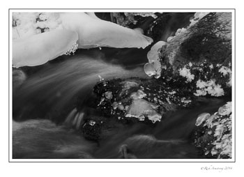 stream-4-frm-bnw-copy.jpg