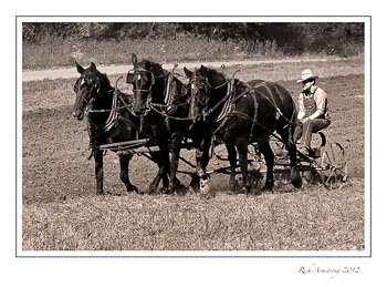 3-team-plow-1.jpg