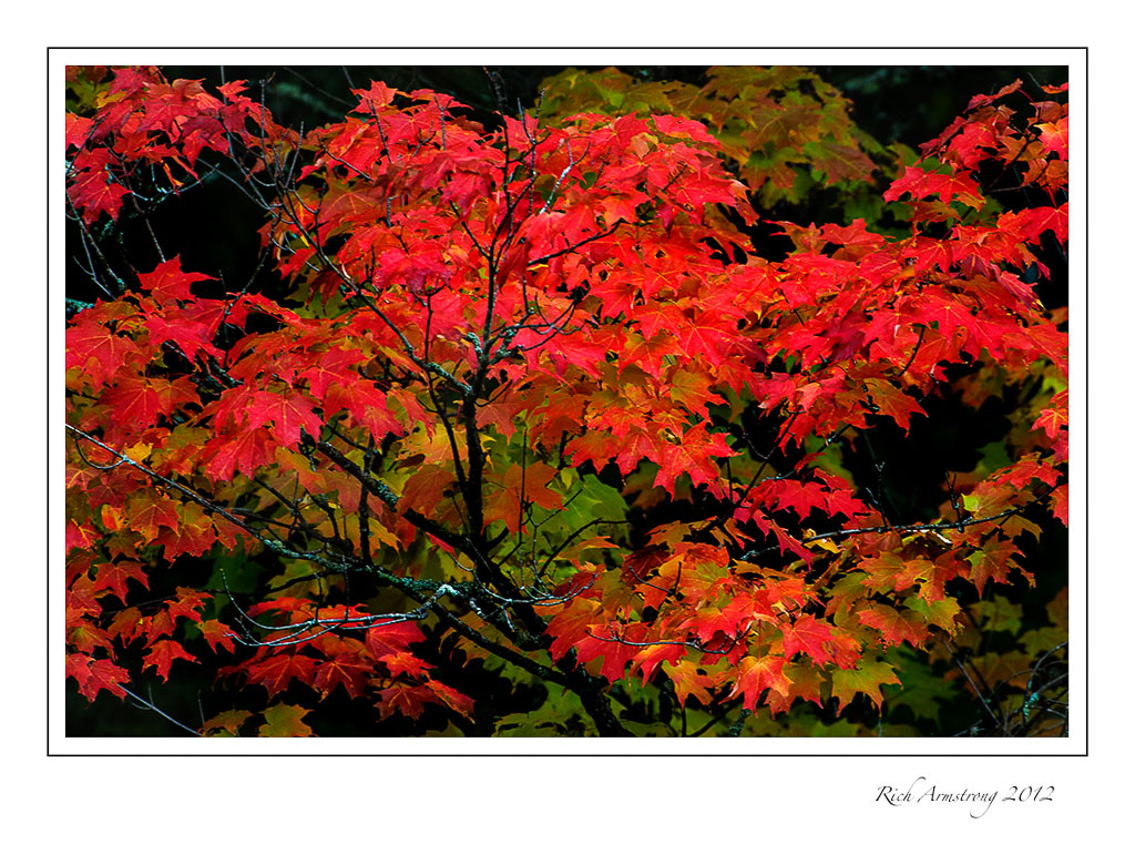 Fall-color-blk-river-2-frm.jpg