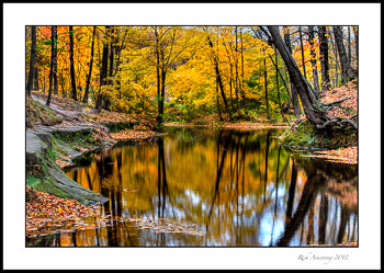 Upper-pool-reflection-4-frm.jpg