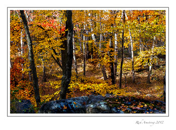 fall-color-1a-frm.jpg