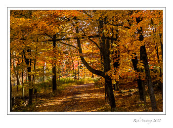 fall-scenic-8-frm.jpg