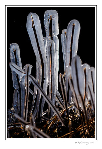 ice-scape-3-copy.jpg