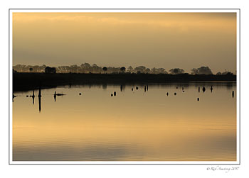landscape-pre-sunrise-copy.jpg