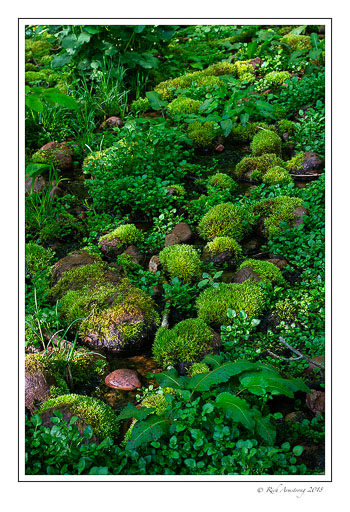 spring-landscape-2-copy.jpg