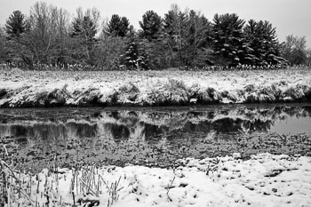 spring-winter-scenic-frm.jpg