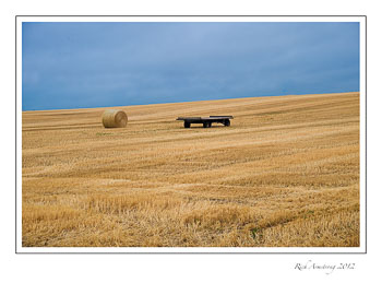 straw-wagon-frm.jpg