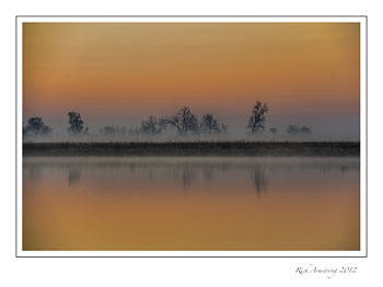 trees-in-fog-1-frm.jpg