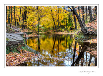 upper-pool-reflection-frm.jpg