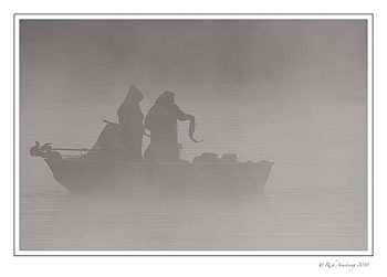 walleye-1-copy.jpg