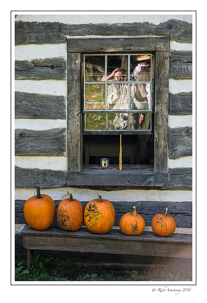 pumpkins-copy.jpg