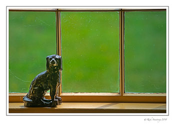 dog-in-window-1-copy.jpg