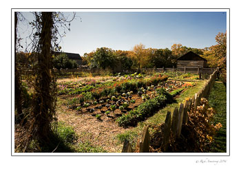 farm-1.jpg