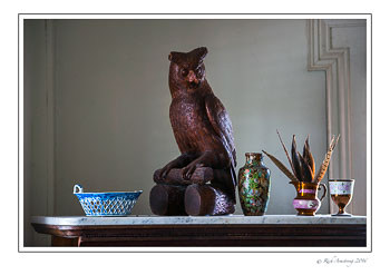 owl-copy.jpg