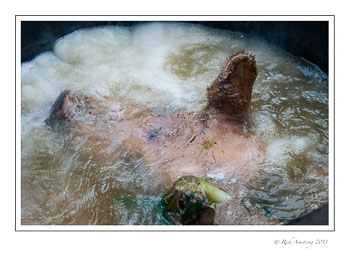 pigs-head-soup-frm.jpg
