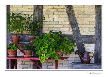 porch-scenic-copy.jpg