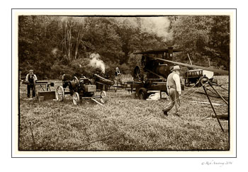 saw-mill-1.jpg
