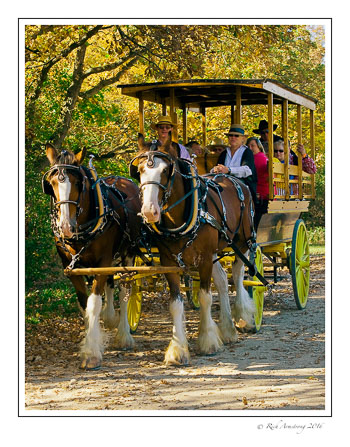 wagon-ride-2-framed.jpg
