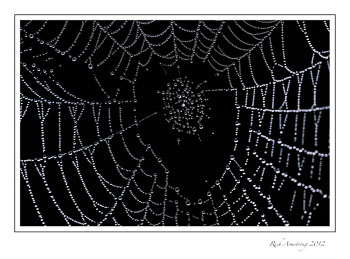 web-1-frm.jpg