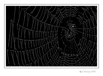 web-dew-1-frm.jpg