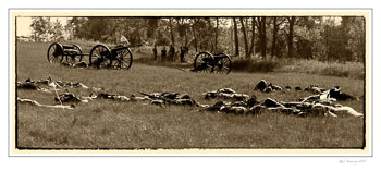 casualties1copy.jpg