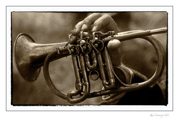 horn1copy.jpg