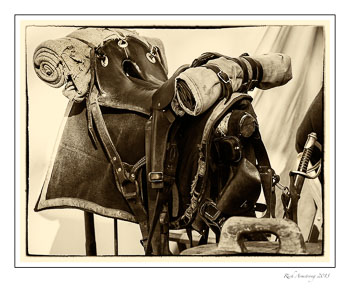 saddle-taccopy.jpg