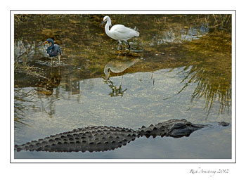 florida-trio-frm_.jpg