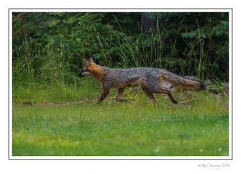 fox-5-frm-copy.jpg